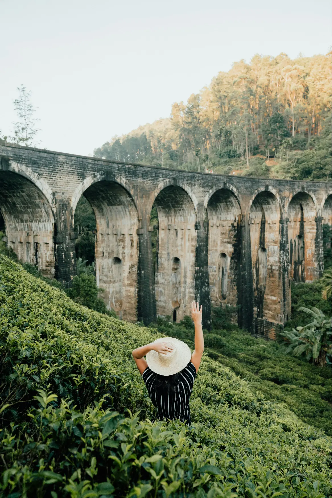 Ella Nine Arch Bridge Sri Lanka