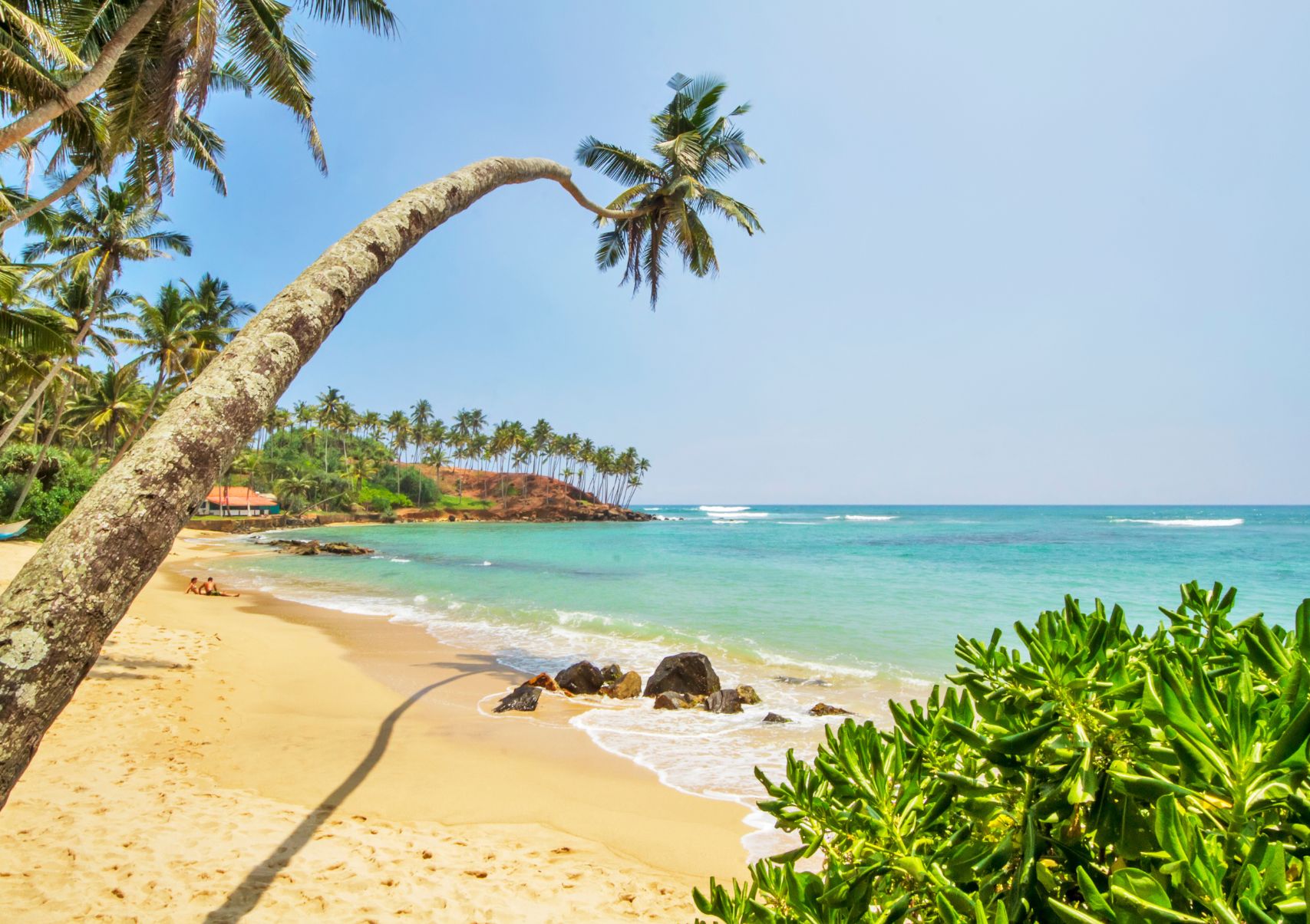 Scenery Lanka Tours - Day Tours - Mirissa Beach Sri Lanka (3)