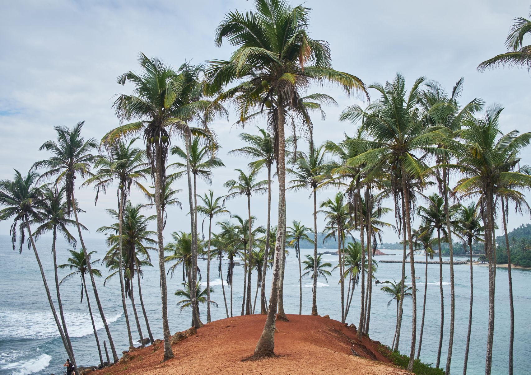 Scenery Lanka Tours - Day Tours - Mirissa Beach Sri Lanka